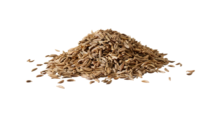 Ķimenes (Carum carvi)